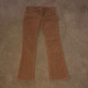 Low rise pants (Abercrombie)